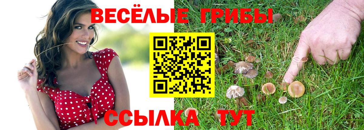 Курчатов  Псилоцибиновые грибы прущие грибы  Галлюциногенные грибы Magic Shrooms  Вход с VPN 
